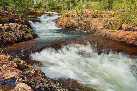 Full-Day Private Guided Tour To Litchfield National Park - Gold Coast Attractions 3