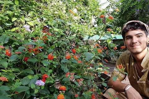 Full-Day Private Guided Tour To Litchfield National Park - Gold Coast Attractions 17