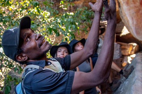 Arnhem Land Injalak Hill Full-Day Tour From Darwin - Gold Coast Attractions 0