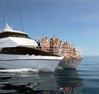 Seastar Luxury Outer Great Barrier Reef Island and Reef Tour from Cairns - Gold Coast Attractions
