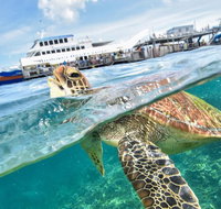 Outer Reef Pontoon Experience from Cairns - Gold Coast Attractions