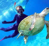 Great Barrier Reef Day Cruise from Cairns Including Snorkeling and Marine Biologist Presentation - Gold Coast Attractions