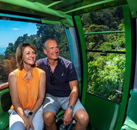 Skyrail Rainforest Cableway Day Trip from Cairns - Gold Coast Attractions