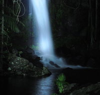 Mt Tamborine National Park 4WD Nocturnal Rainforest and Glow Worm Tour - Gold Coast Attractions