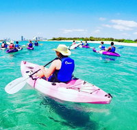 Half Day Dolphin Kayaking and Snorkeling Tour - Gold Coast Attractions
