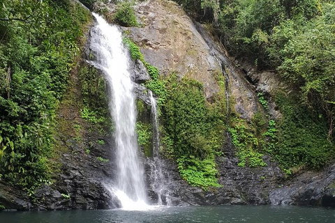 Full Day Tour In The Daintree - Gold Coast Attractions 2