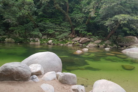 Full Day Tour In The Daintree - Gold Coast Attractions 5