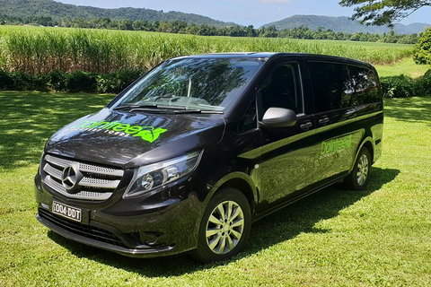 Full Day Tour In The Daintree - Gold Coast Attractions 3