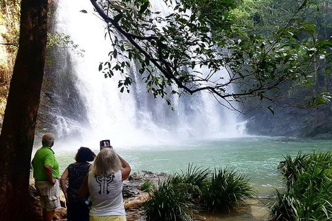 Full Day Tour In The Daintree - Gold Coast Attractions 1