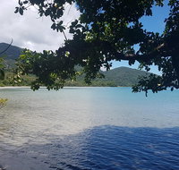 Full Day Tour in the Daintree - Gold Coast Attractions