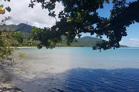 Full Day Tour In The Daintree - Gold Coast Attractions 0