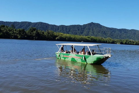 Full Day Tour In The Daintree - Gold Coast Attractions 4