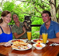 Breakfast with the Koalas at Hartley's Crocodile Park from Cairns or Palm Cove - Gold Coast Attractions