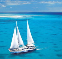Ocean Spirit Michaelmas Cay Dive and Snorkel Cruise from Cairns - Gold Coast Attractions