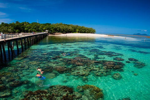 Fly To Green Island - Cruise Return - Gold Coast Attractions 14