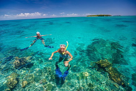 Fly To Green Island - Cruise Return - Gold Coast Attractions 2