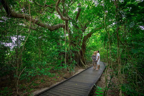 Fly To Green Island - Cruise Return - Gold Coast Attractions 17