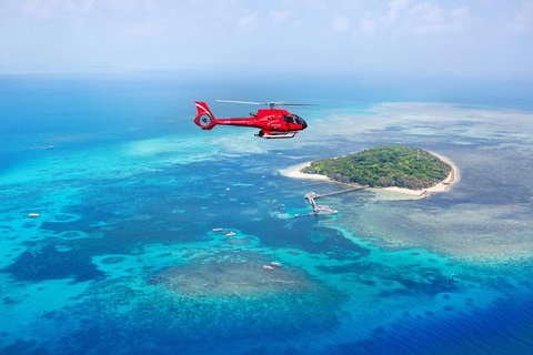 Fly To Green Island - Cruise Return - Gold Coast Attractions 9