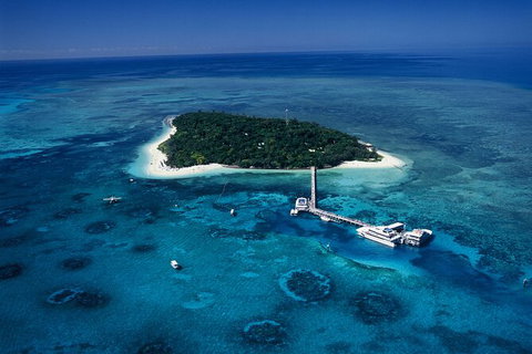 Fly To Green Island - Cruise Return - Gold Coast Attractions 7
