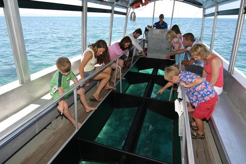 Fly To Green Island - Cruise Return - Gold Coast Attractions 13