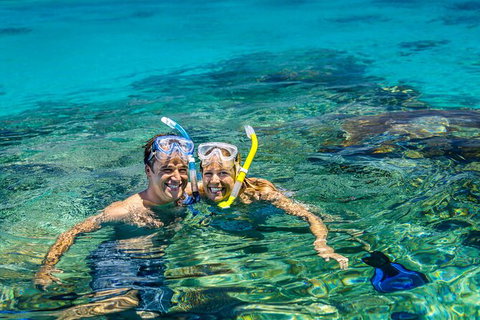 Fly To Green Island - Cruise Return - Gold Coast Attractions 20