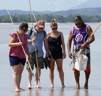 Aboriginal Cultural Daintree Rainforest Tour from Cairns or Port Douglas - Gold Coast Attractions