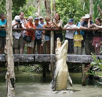 Hartley's Crocodile Adventure Half-Day Tour - Gold Coast Attractions