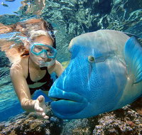 Cairns 2-Day Combo Great Barrier Reef Cruise and Kuranda - Gold Coast Attractions