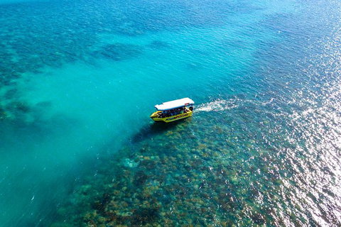 Airlie Beach Glass Bottom Boat Tour - Gold Coast Attractions 3