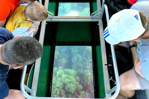 Airlie Beach Glass Bottom Boat Tour - Gold Coast Attractions 2