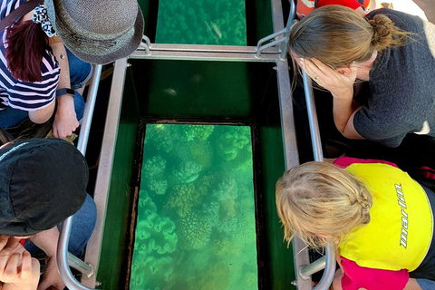 Airlie Beach Glass Bottom Boat Tour - Gold Coast Attractions 11