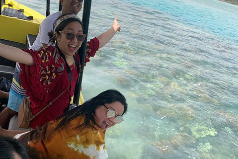 Airlie Beach Glass Bottom Boat Tour - Gold Coast Attractions 6
