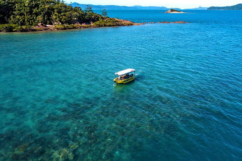 Airlie Beach Glass Bottom Boat Tour - Gold Coast Attractions 8