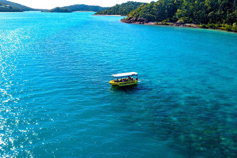 Airlie Beach Glass Bottom Boat Tour - Gold Coast Attractions 1