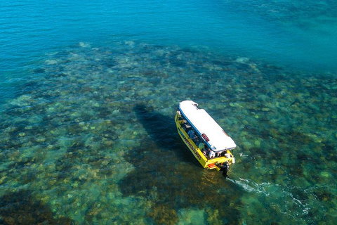 Airlie Beach Glass Bottom Boat Tour - Gold Coast Attractions 9