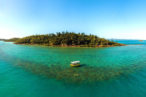 Airlie Beach Glass Bottom Boat Tour - Gold Coast Attractions 0