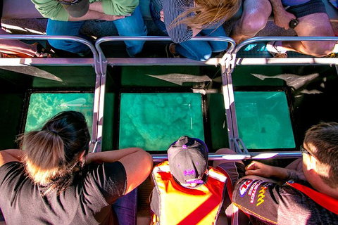 Airlie Beach Glass Bottom Boat Tour - Gold Coast Attractions 4