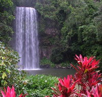 The Original Day Tour to Paronella Park Lake Barrine and Millaa Millaa Falls - Gold Coast Attractions