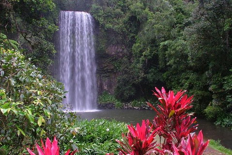 The Original Day Tour To Paronella Park, Lake Barrine And Millaa Millaa Falls - Gold Coast Attractions 0