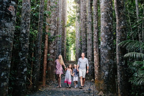 The Original Day Tour To Paronella Park, Lake Barrine And Millaa Millaa Falls - Gold Coast Attractions 14