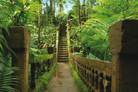 The Original Day Tour To Paronella Park, Lake Barrine And Millaa Millaa Falls - Gold Coast Attractions 1
