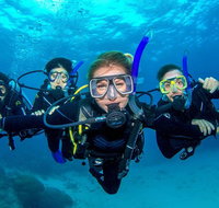 Great Barrier Reef Diving and Snorkeling Cruise from Cairns - Gold Coast Attractions