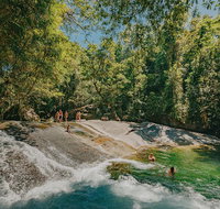 Atherton Tablelands Waterfalls and Rainforest Day Tour Departing Cairns - Gold Coast Attractions