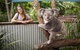 Hartley\'s Crocodile Adventures Wildlife Encounter Day Trip From Cairns - thumb 1