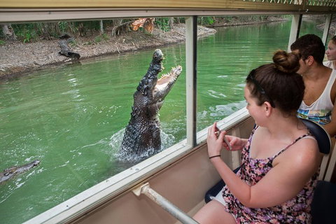 Hartley\'s Crocodile Adventures Wildlife Encounter Day Trip From Cairns - Gold Coast Attractions 0