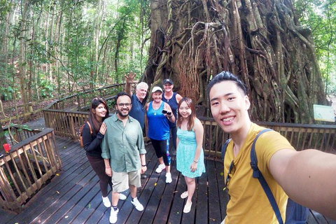 Barron Gorge And Kuranda National Park Half Day Rainforest And Waterfall 4WD Tour From Cairns - Gold Coast Attractions 2