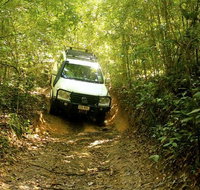 Barron Gorge and Kuranda National Park Half Day Rainforest and Waterfall 4WD Tour from Cairns - Gold Coast Attractions