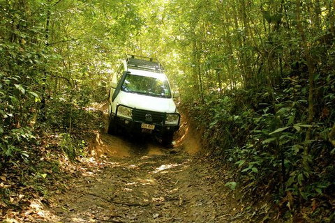 Barron Gorge And Kuranda National Park Half Day Rainforest And Waterfall 4WD Tour From Cairns - Gold Coast Attractions 0