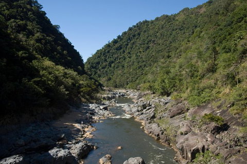 Barron Gorge And Kuranda National Park Half Day Rainforest And Waterfall 4WD Tour From Cairns - Gold Coast Attractions 5