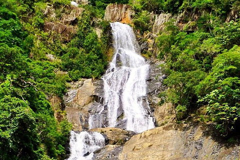 Barron Gorge And Kuranda National Park Half Day Rainforest And Waterfall 4WD Tour From Cairns - Gold Coast Attractions 7